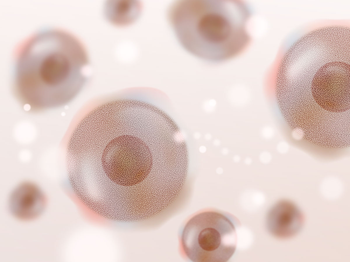 feat0<br />
<b>Warning</b>:  Undefined variable $i in <b>/home/xs171376/reunet.jp/public_html/trial14/wp/wp-content/themes/reutrial/parts/loop_features.php</b> on line <b>20</b><br />
<br />
<b>Warning</b>:  Undefined variable $count in <b>/home/xs171376/reunet.jp/public_html/trial14/wp/wp-content/themes/reutrial/parts/loop_features.php</b> on line <b>20</b><br />
2